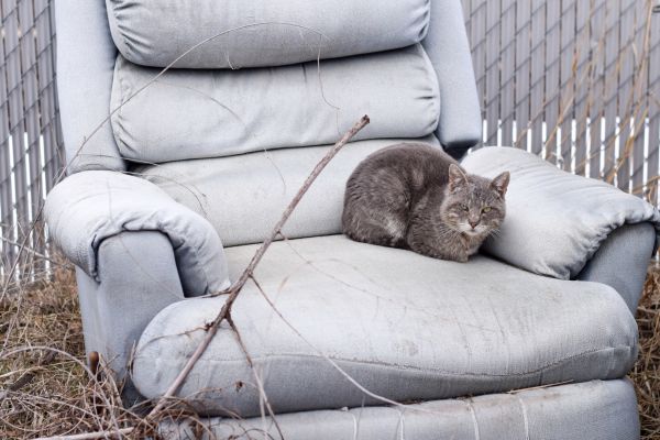 Recliner Disposal in Brooklyn